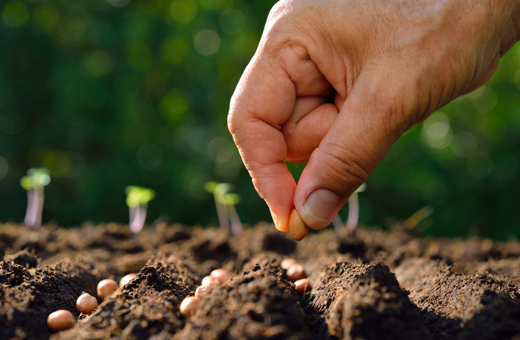 Socially Responsible Investing