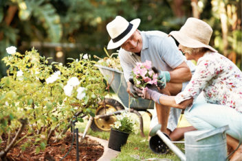 Make the Most of Your Retirement Plan Contributions