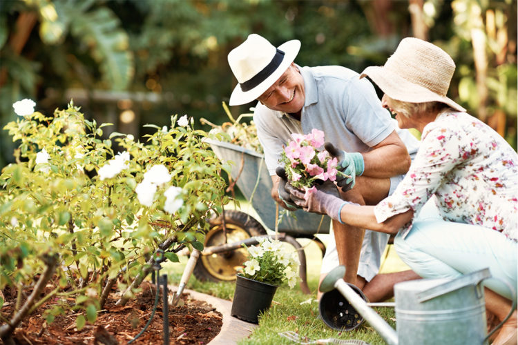Make the Most of Your Retirement Plan Contributions