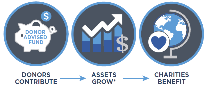 donor advised fund